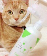 �J���t�@�y�b�g